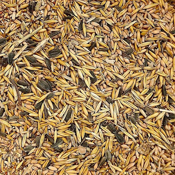 20kg Uniwersalna karma dla ptaków ziarno pokarm zimowy karmnik Champi