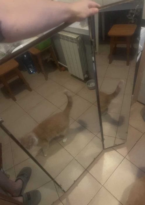 Зеркало в кімнату