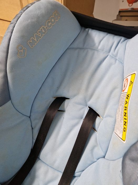 Ovinho Maxi cosy OPORTUNIDADE