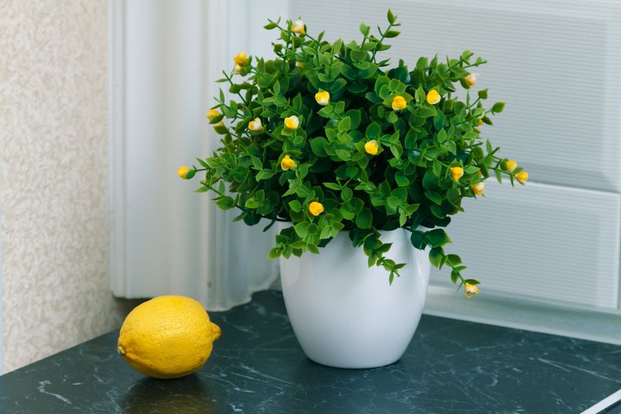 2к дизайн-проект в ЖК "Британський Квартал". Квартира подобово Київ.