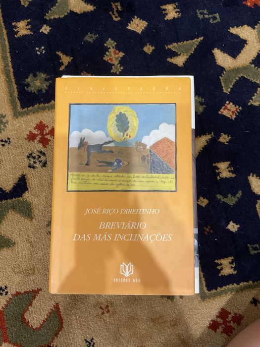 Livro José riço direitinho - breviário das más inclinações