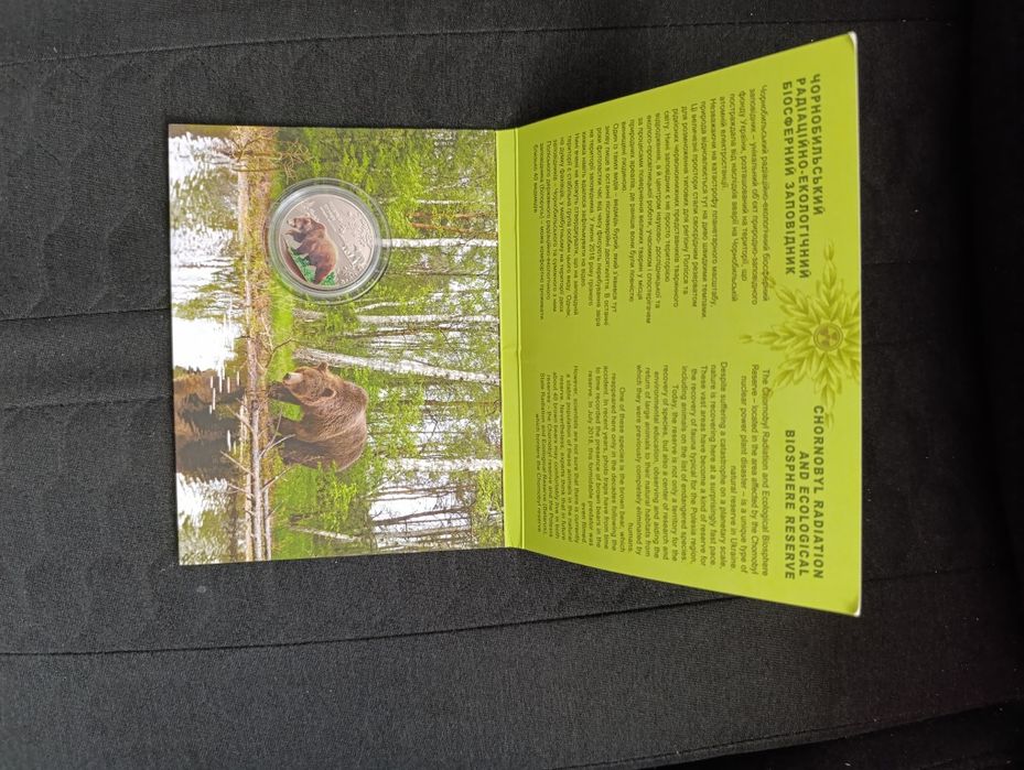 Ведмідь бурий сувенірка