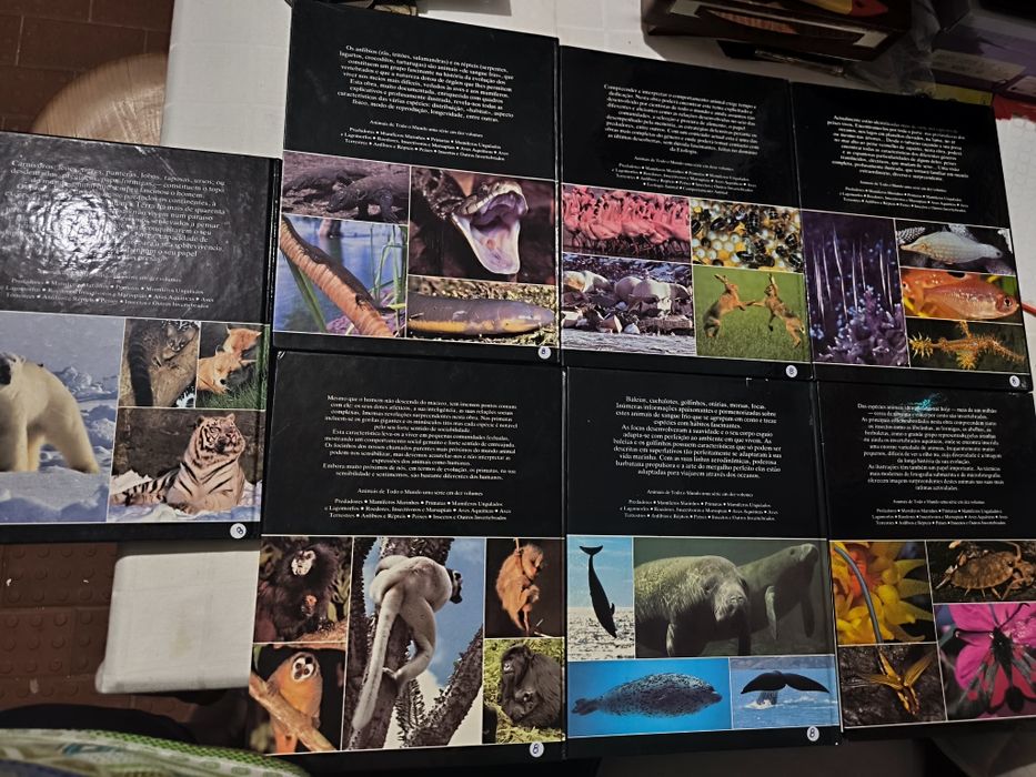 Enciclopédia Animais: 7 livros