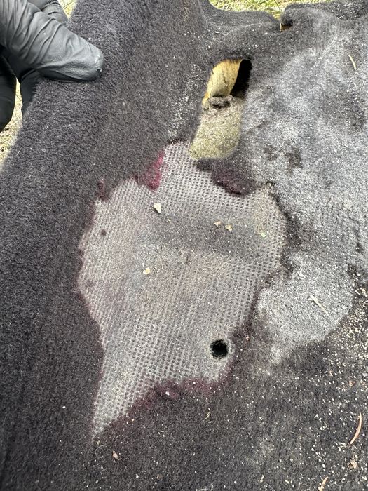 E39 530i 99% czesci wnetrza i napedu