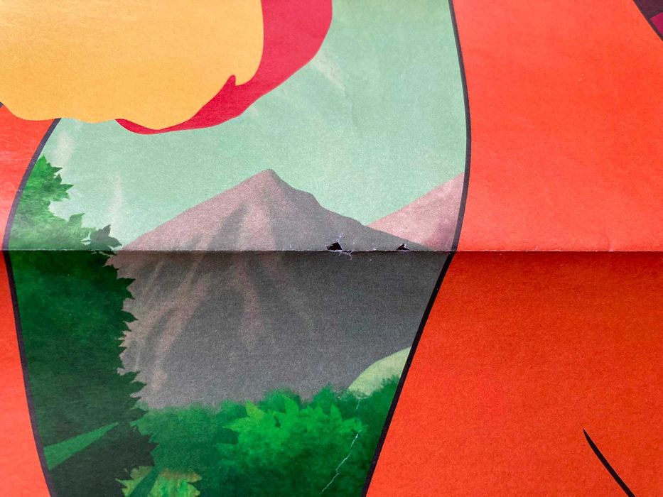 Poster Frente e Verso Pokémon: Charmander + Goh e Scorbunny