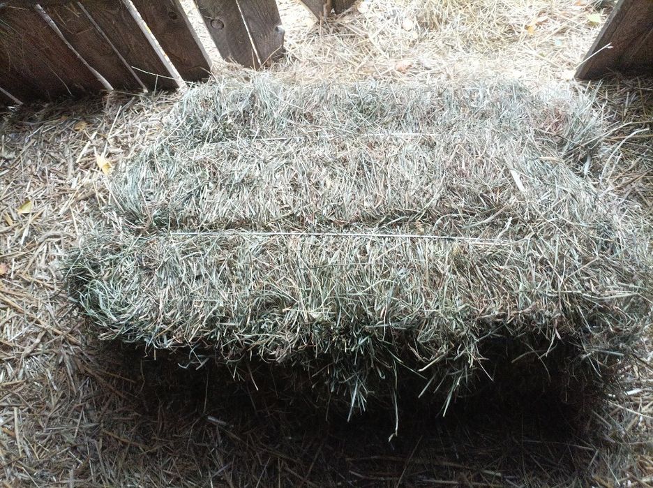 Sprzedam siano w kostkach