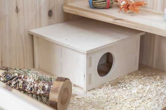 abrigo para hamster