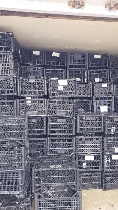 Ящик пластиковий з під фруктів б/в.