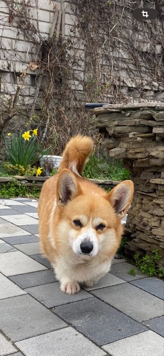 Очень арасивач яркая девочка Лиза