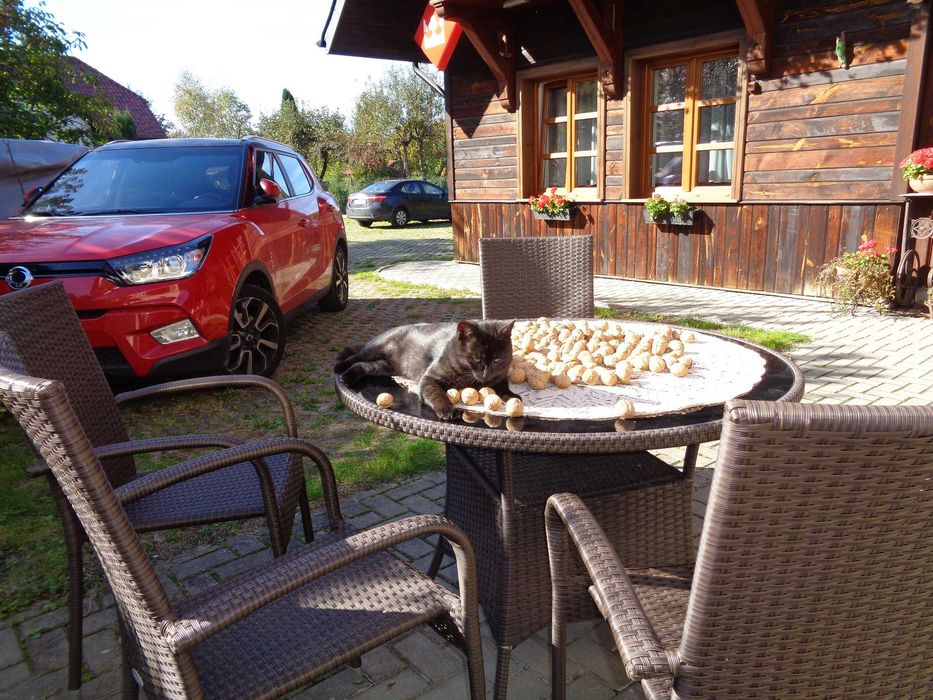 Apartament i Pokoje Gościnne "U Śliwów" [Centrum]