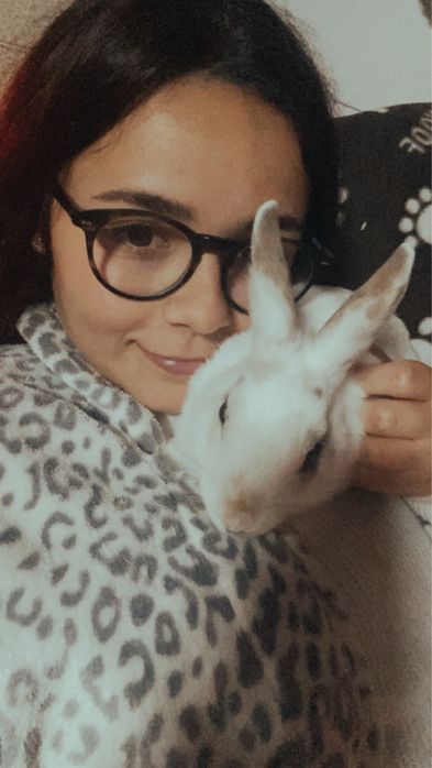 Pet Sitter / Passeios e Visitas ao Domicilio para animais em Coimbra