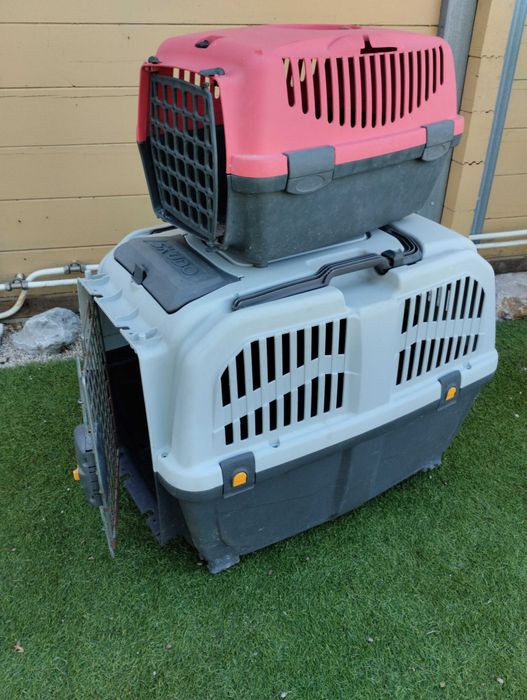 Transportadoras para animais