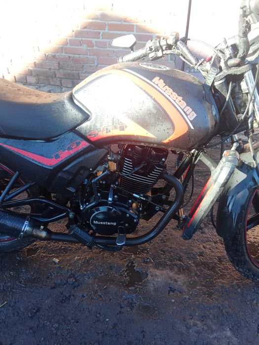 Продам мустанг фвості 150