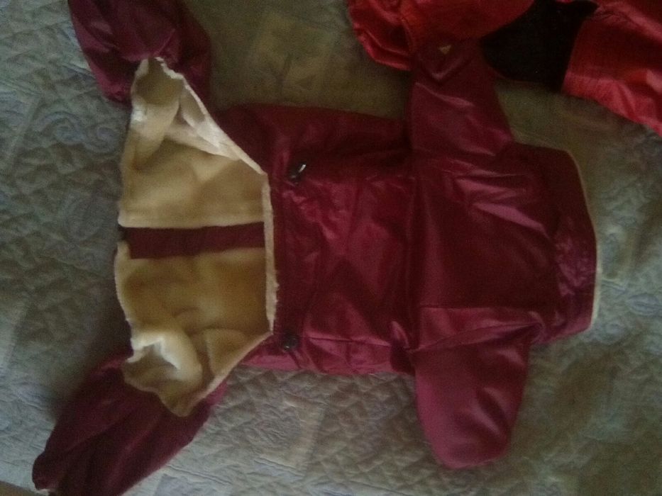 Комбинезон для собаки зимний на меху N3 французский бульдог, мопс