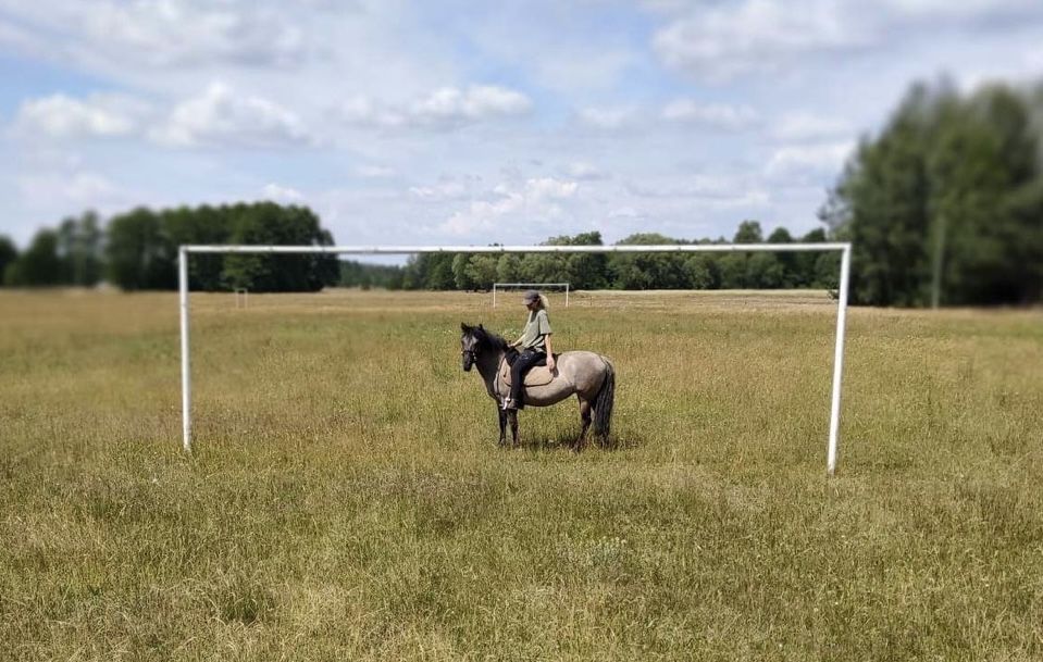 Przemiła klacz wszechstronna konik polski 10 lat