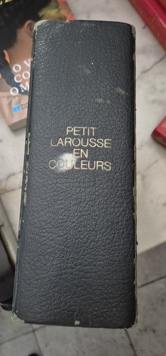 Petit Larousse em couleurs