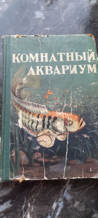 Комнатный аквариум  1962