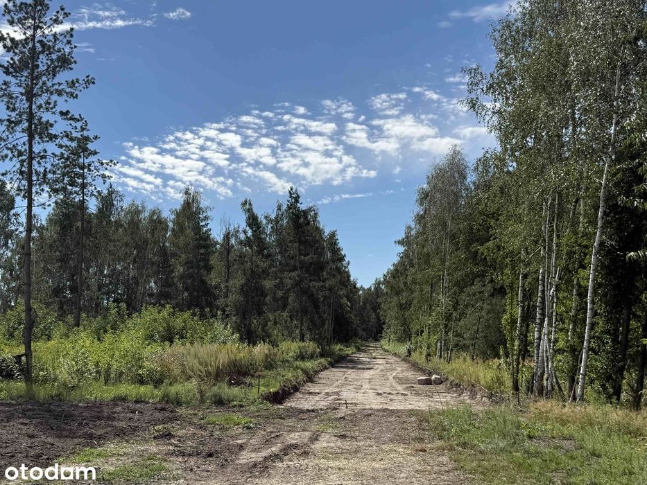 Działka Budowlana 857 M² Dosin / Rumiankowa Mpzp Media – Bezpośrednio