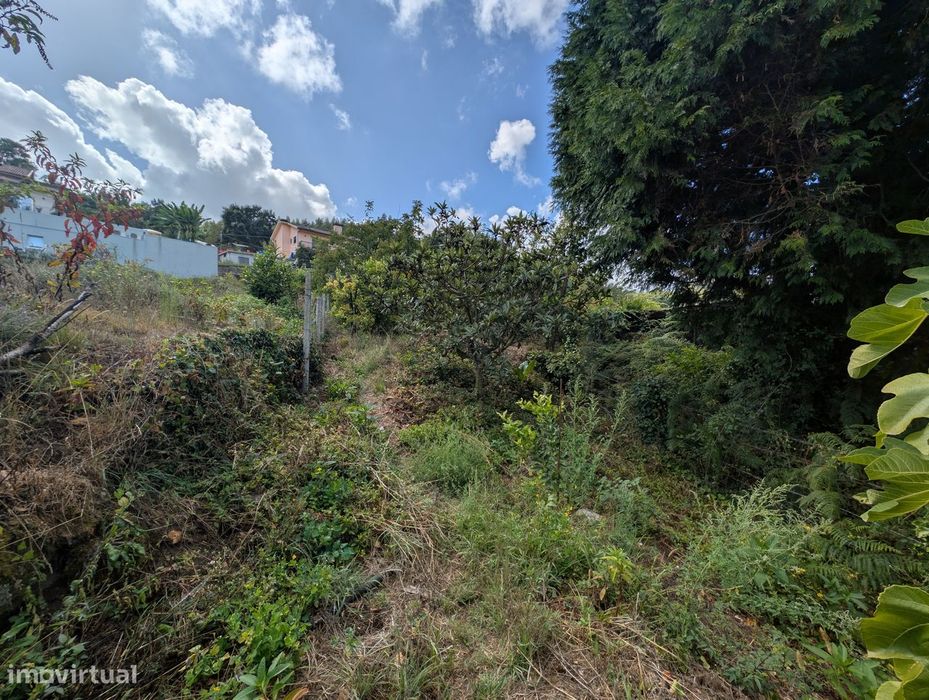 Terreno Misto em Vilaça – 1.100 m²