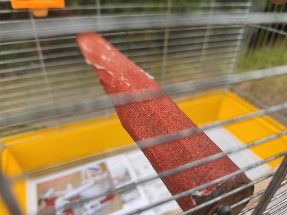 Klatka na papugę ptaka duża z akcesoriami GRATIS pokarm