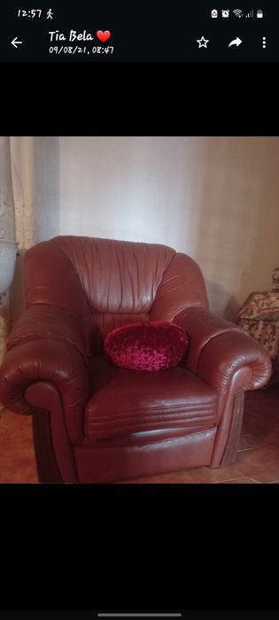 Sofás castanhos em pele