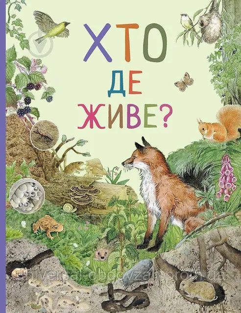 Кто где живет? Удивительный мир животных