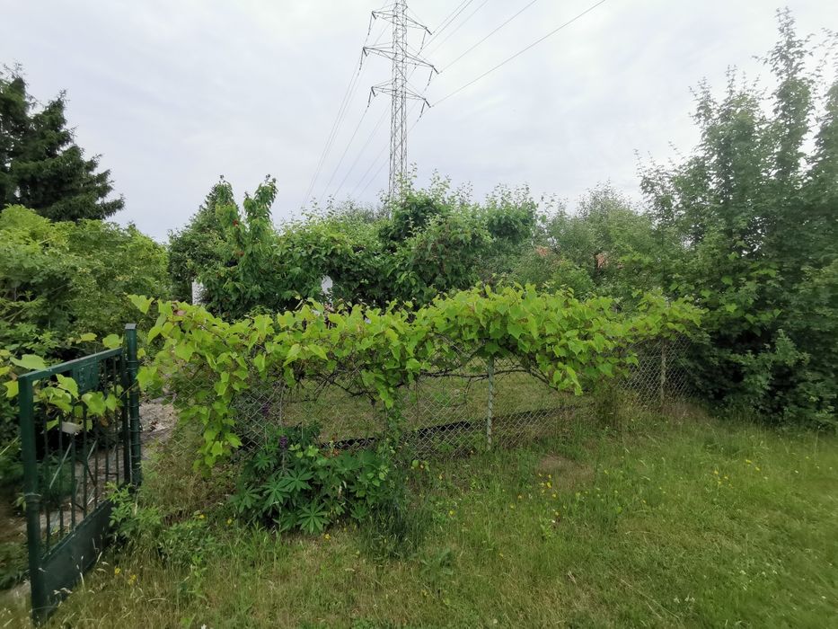 Działka ROD Górki Ustowskie