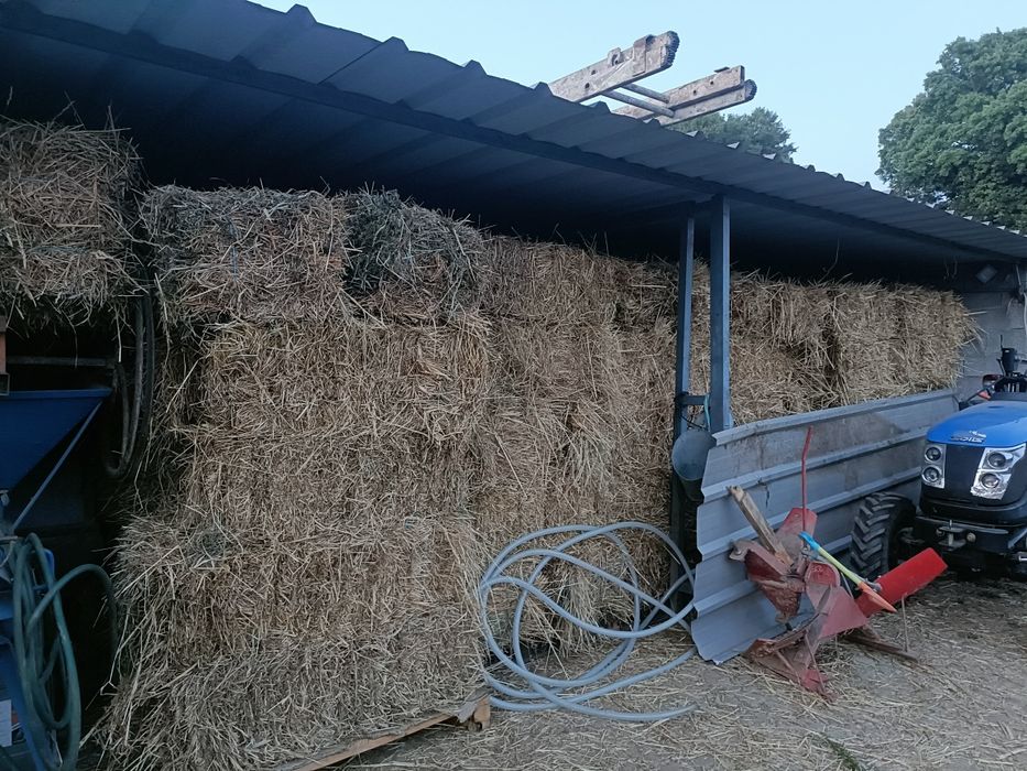 Vendo fardos de palha