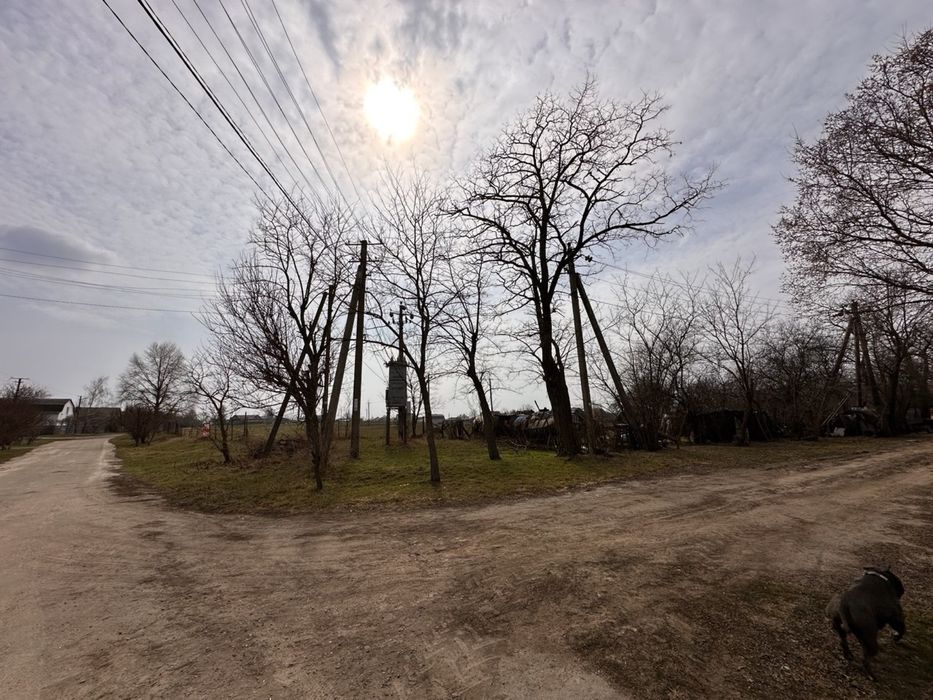 Земельна ділянка будинок земля 39 соток Велика Стариця Синьківка