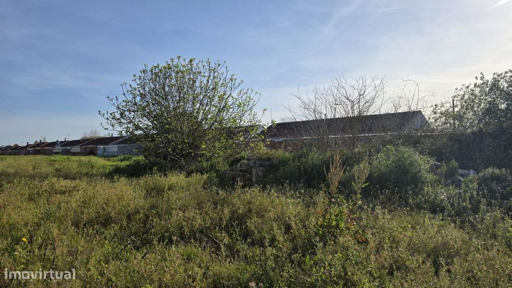 Aqui começa o que ainda não existe