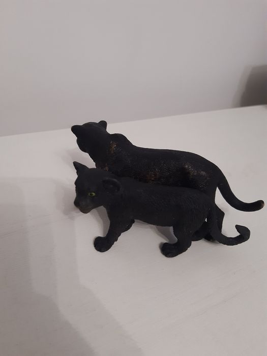 Czarna pantera plus młode