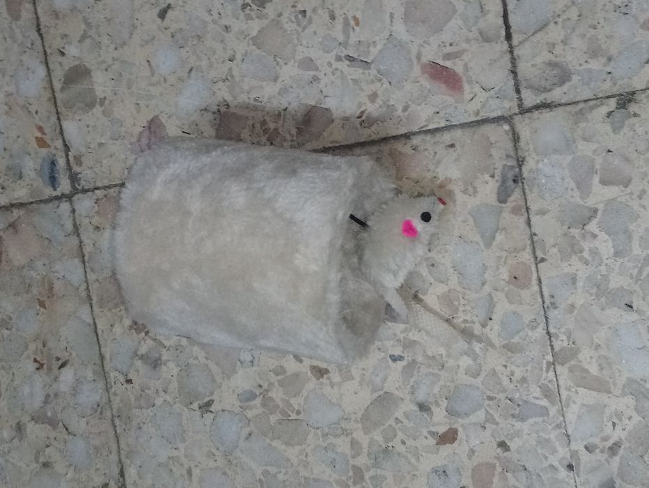 Brinquedos para gatos