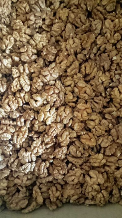 Продам битые грецкие орехи