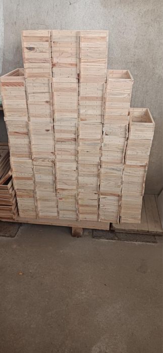 Quadros ninho lusitana