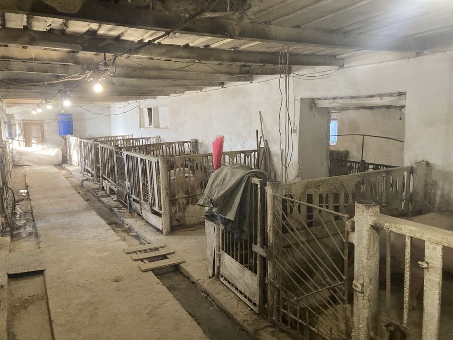 Бізнес ферма працююча