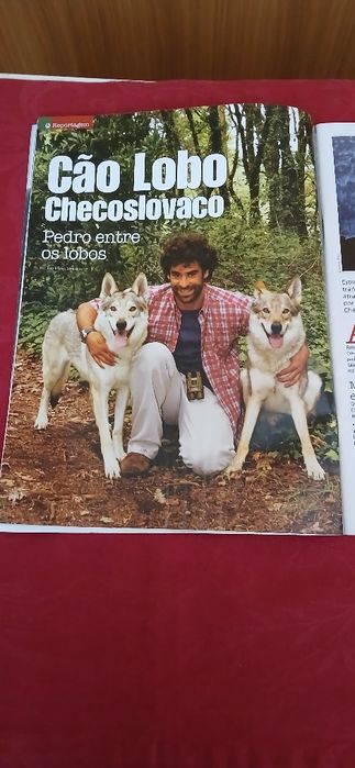 Cães & Companhia de 2009