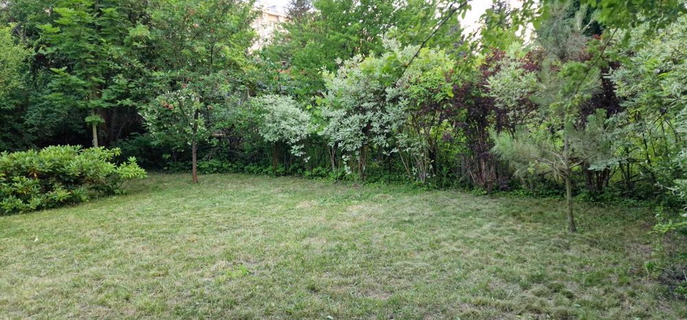 Działka ROD na sprzedaż – Mokotów, ROD Obrońców Pokoju - Widok 5