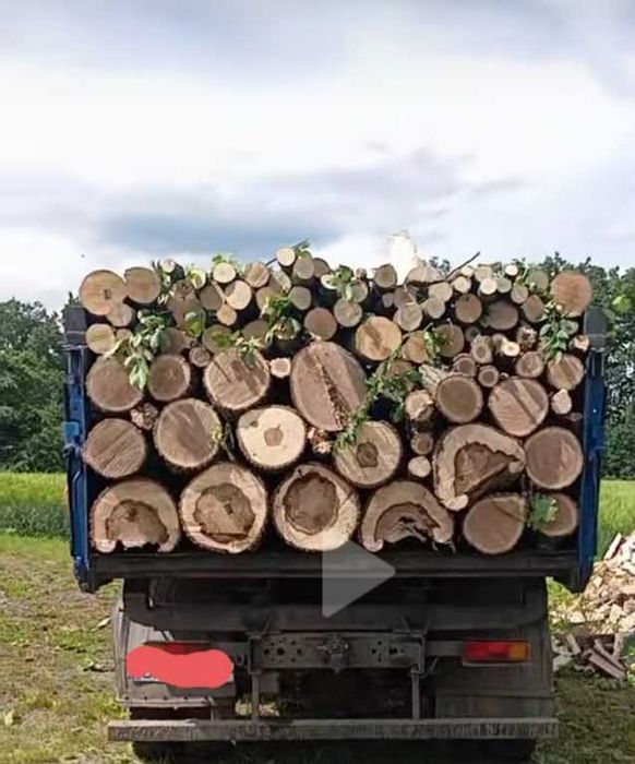 Продам дрова твердих порід