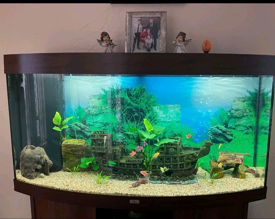 Чистка Акваріумів