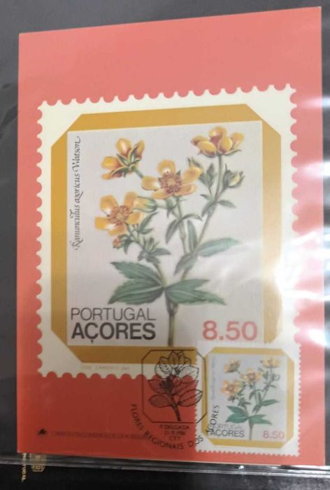 Postais Portugal Açores Flores Regionais