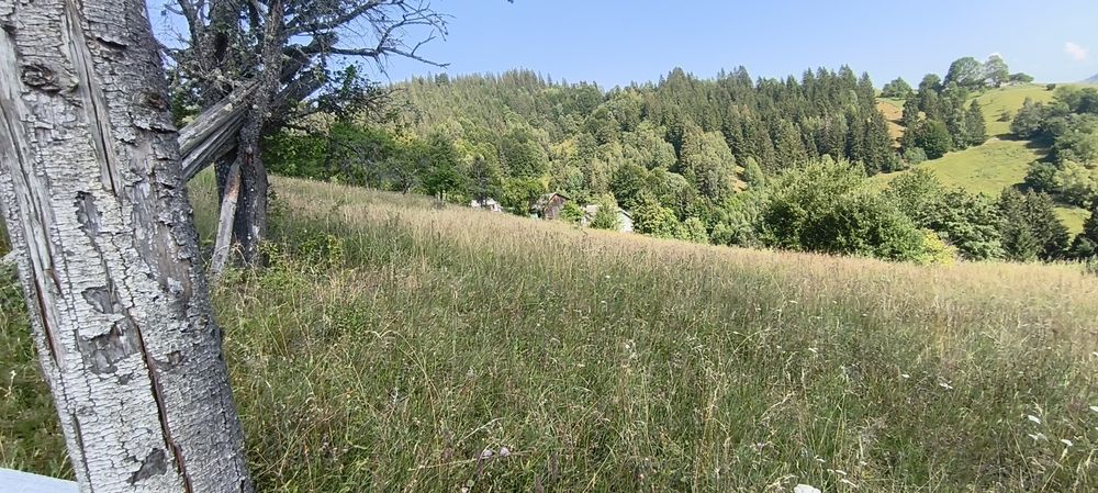 Земельна ділянка 25 сот забудова і 60 можливий обмін на недорий джип з вашов доплатовсг