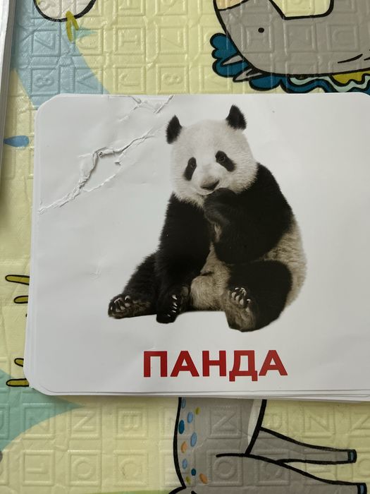 Набір карток домана «моя перша валіза» украінською