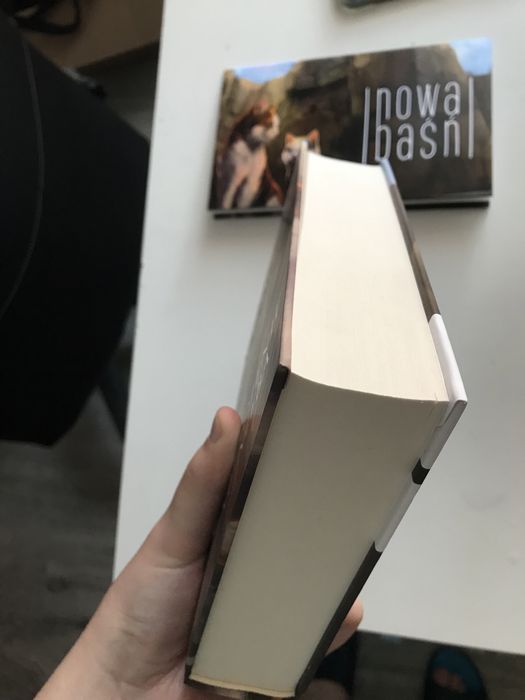 Wojownicy erin hunter przeznaczenie klanu nieba