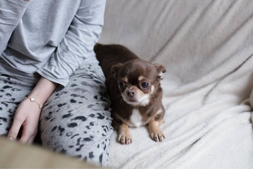 Взрослая девочка в семью