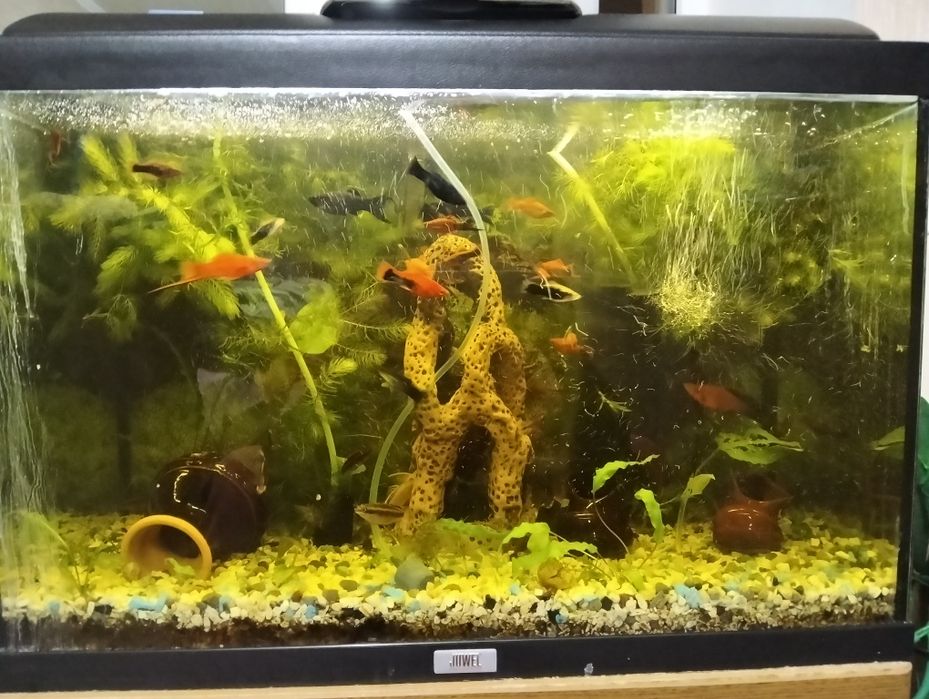 Продам акваріум.