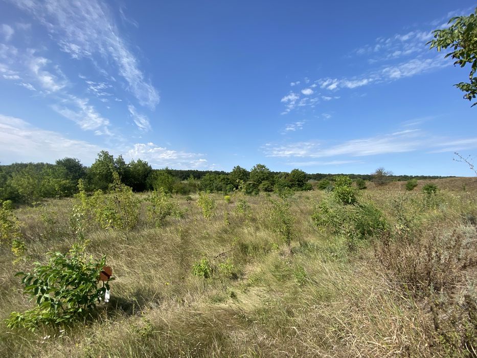 Земля під будинок, земельна ділянка 0,098га