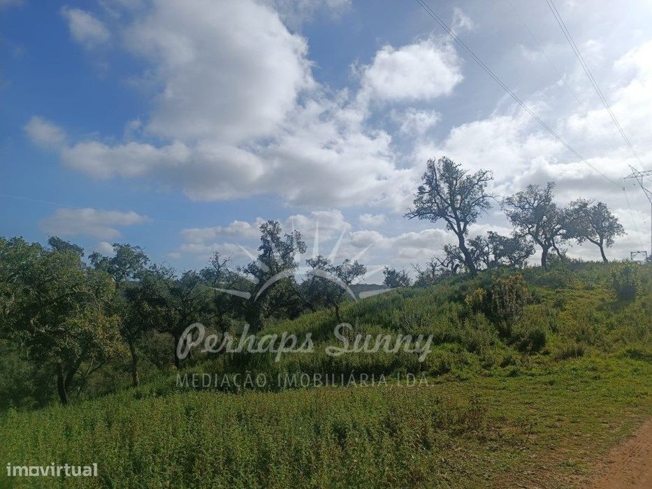 Terreno Rustico São Francisco da Serra