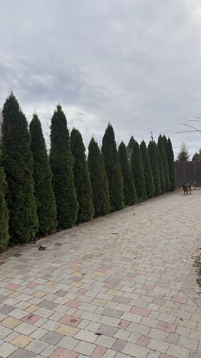 Продам будинок район Пасічної - Вид 2