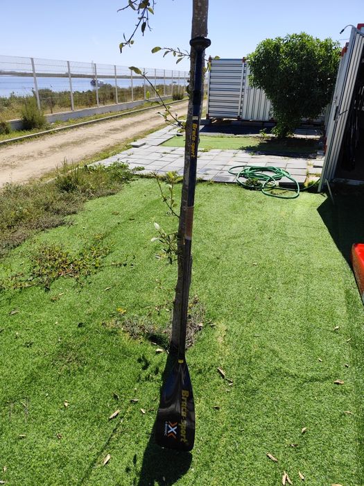 Remo SUP Brasca Marlin