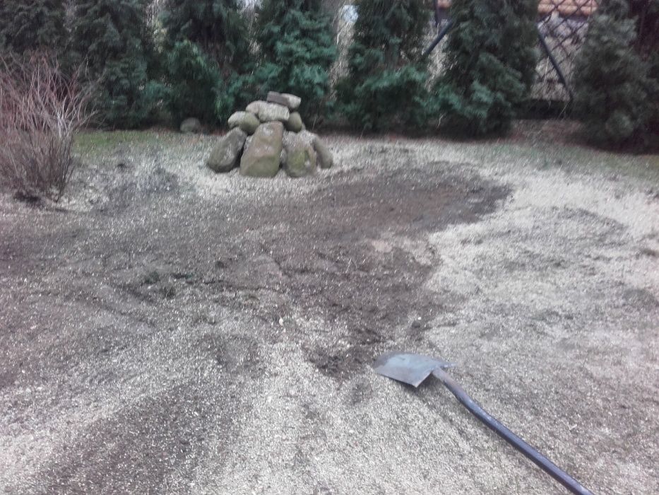 Drzewo drewno kominkowe , opałowe Pabianice Łódź Zgierz Konstantynów